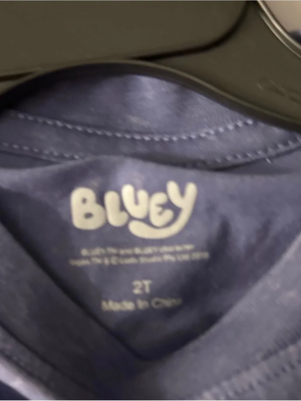 Bluey Graphic Kids T‑Shirt - Blue